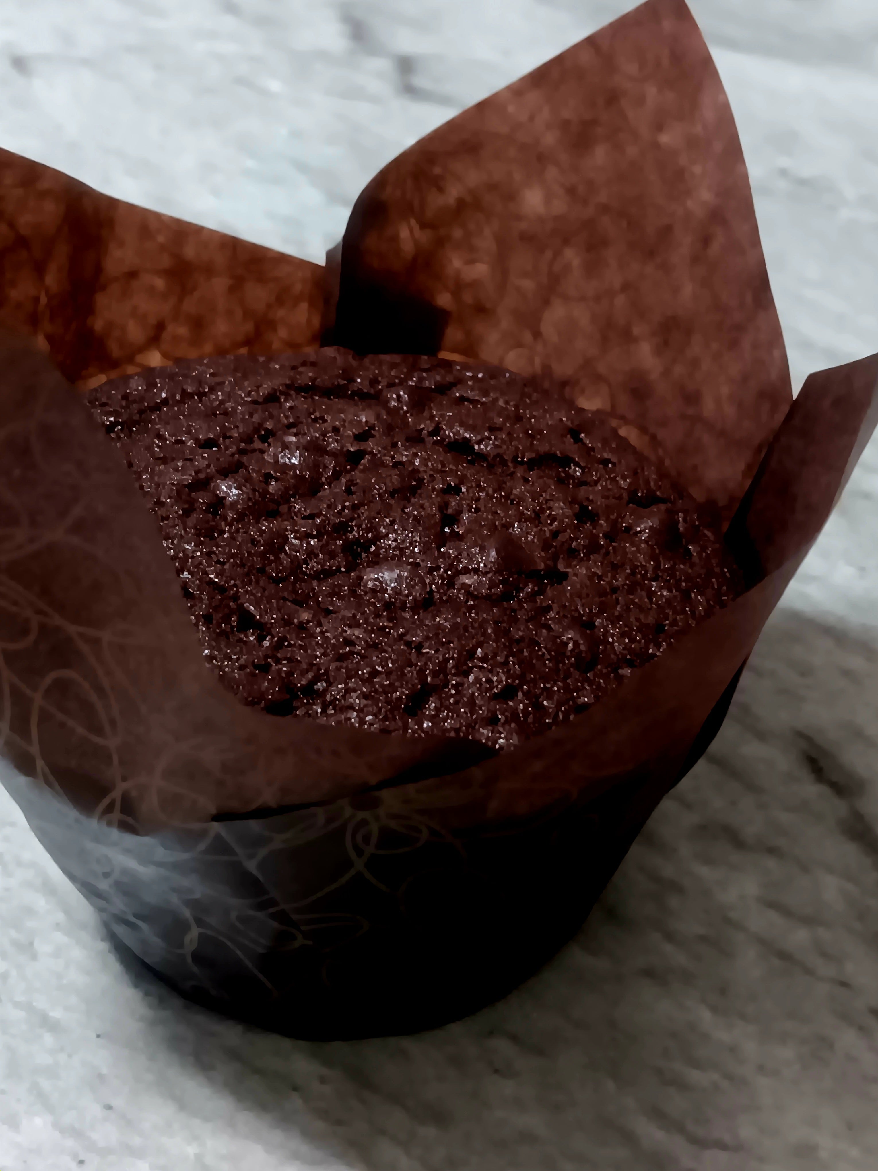 Jumbo Chocolate Chip Muffin