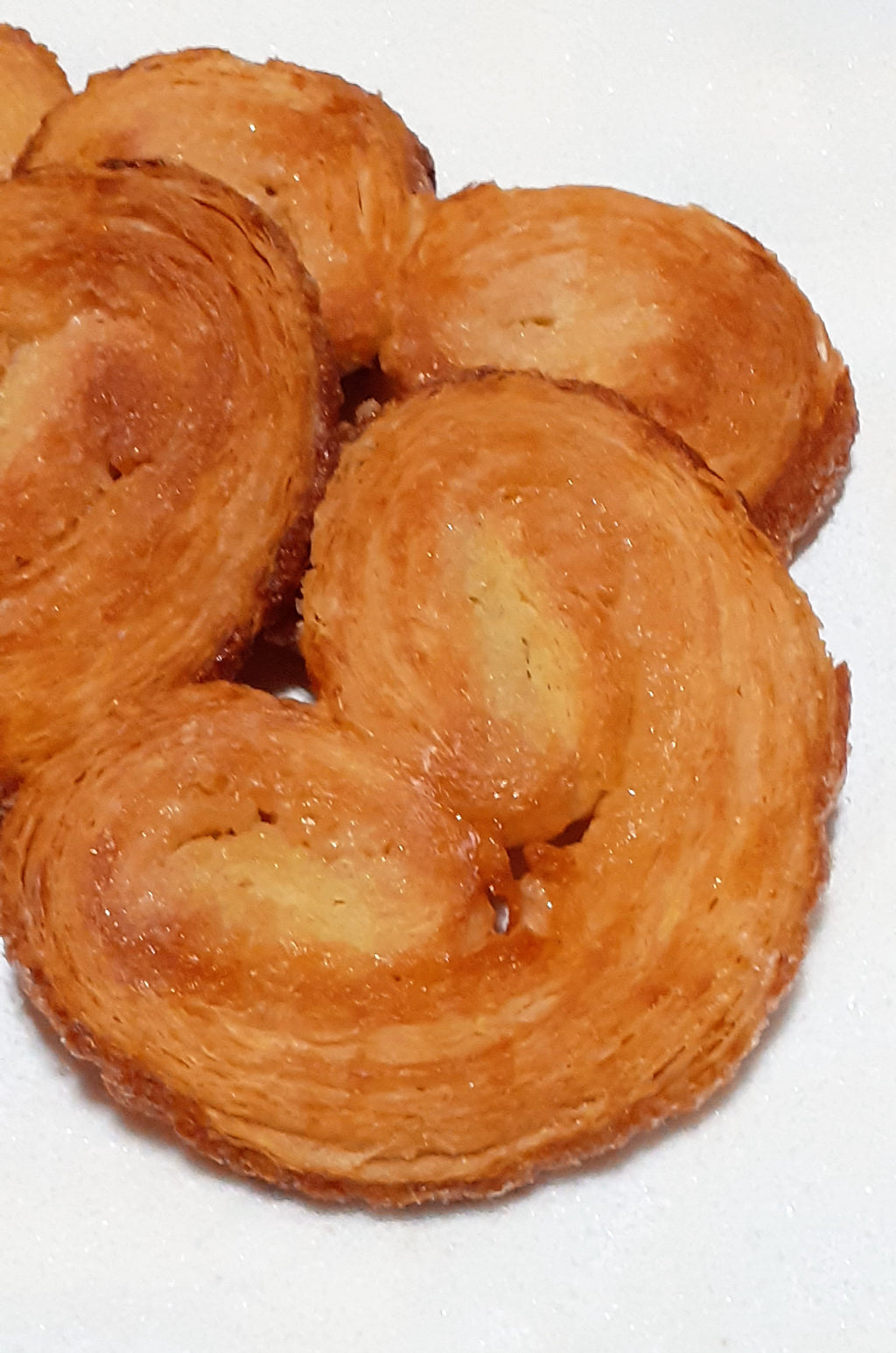 Palmier